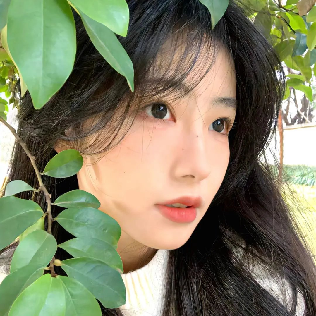 赛马娘第二季